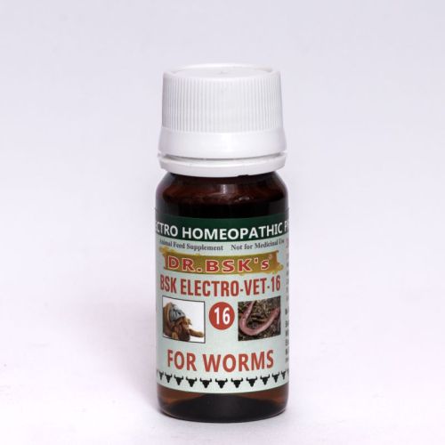 Dr. Bsk Electro VET-16 Syrup, Shelf Life : 5 Years