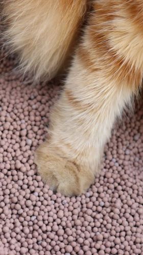 Light Brown Ball Shape Bentonite Cat Litter, For PET Products, Purity : 99%, 99.5%