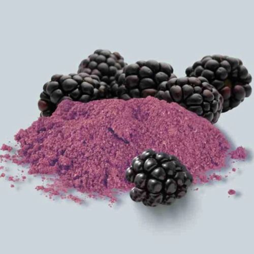 Spray Dried Blackberry Powder, Packaging Type : Plastic Packets