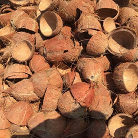 Common Raw Coconut Shells For Industrial