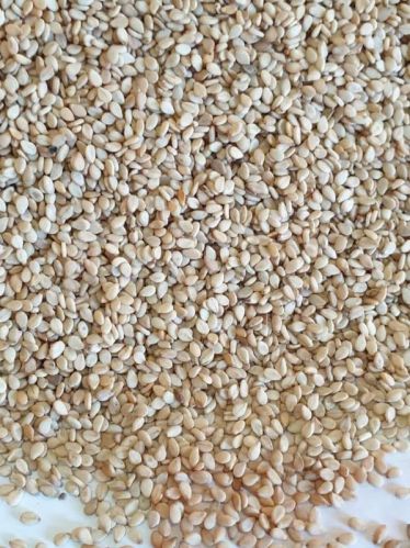 White Organic Hulled Sesame Seeds, For Cooking, Packaging Size : 50kg