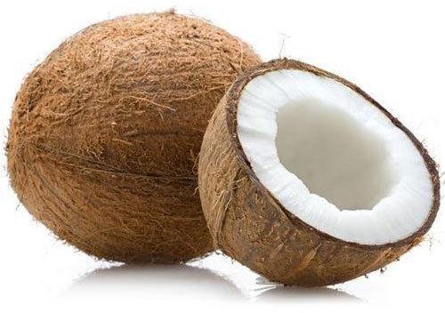 Hard Organic Fresh Coconut, For Pooja, Medicines, Cosmetics, Cooking, Packaging Type : Gunny Bag