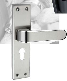 Silver JE-503 Stainless Steel Mortise Handle, For Door