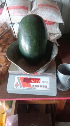 Melody 2.5 To 4.5 Kg Watermelon, Shelf Life : 10days