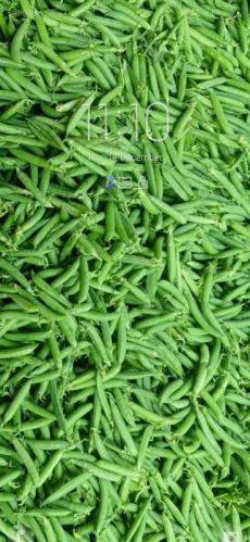Green Peas, For Cooking, Form : Whole