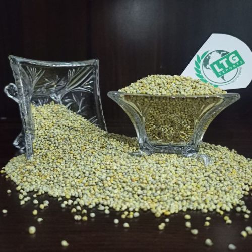 LTG Round 50KG Bulk Quantity Green Millet, For Animal Feed, Shelf Life : 2 Year
