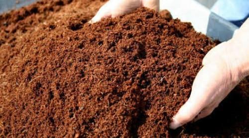 Square Natural Coco Peat, For Construction, Form : Solid