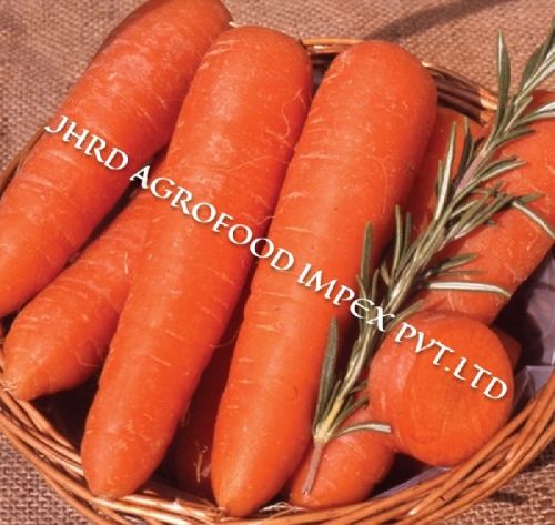 Carrot, For Human Consumption, Certification : FDA Certified