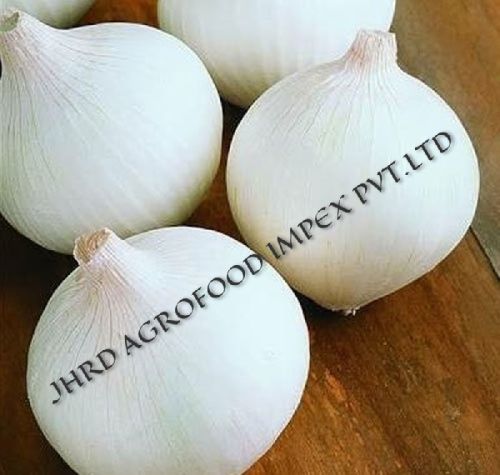 Round White Onion, For Cooking, Human Consumption, Size : Large, Medium, Small