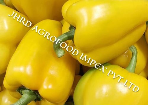 Common Yelow Pepper, For Cooking, Packaging Type : Plastic Packet