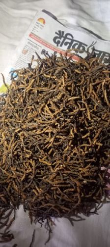 Cordyceps Sinensis, Grade : Pharmaceutical Grade