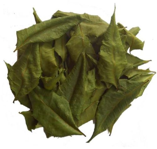 Dried Neem Leaves, Color : Green