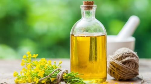 Canola Oil, For Cosmetics, Form : Liquid