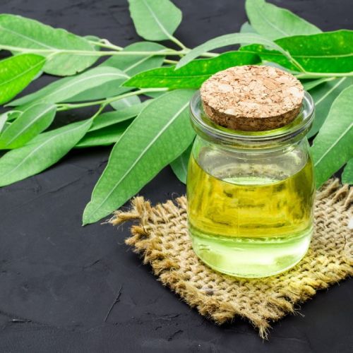 EUCLYPTUS OIL, For Cosmetics, Form : Liquid