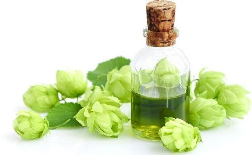 Organic HOPS OIL, Packaging Type : Plastic Bottle