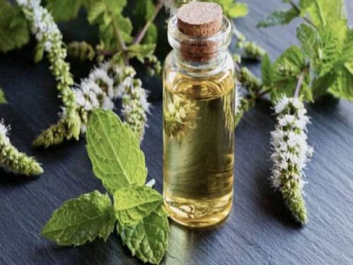 Mentha Peppermint Oil, Shelf Life : 1years