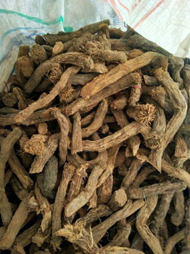 SUGANDH MANTRI OIL, For ORGANIC, Purity : 99%