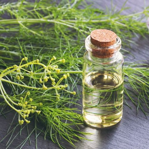 JOHN AROMAS Organic Fennel Seed Oil, Feature : Natural Color
