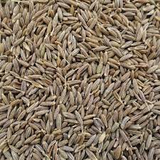 Cumin Seeds, Certification : FSSAI Certified