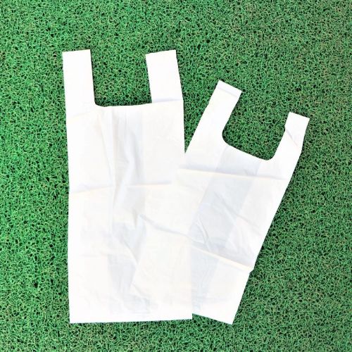 11X14 Biodegradable & Compostable Carry Bags, For Shopping, Carry Capacity : 1kg