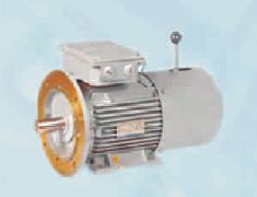 Polished Cast Iron Brake Motor, Phase : Single Phase