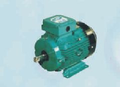 TEFC Standard Motor, Voltage : 220V