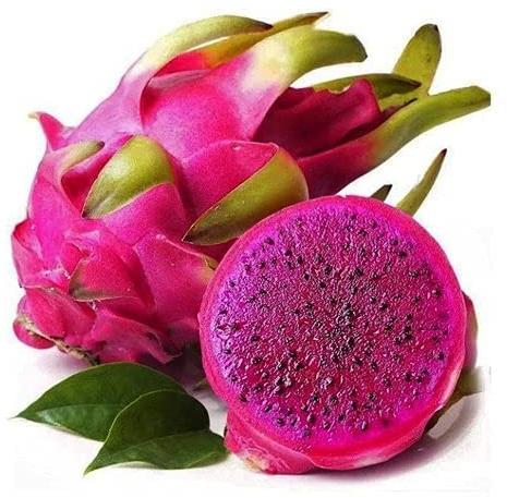 Natural Fresh Dragon Fruit, For Food Medicine, Packaging Type : Plastic Box