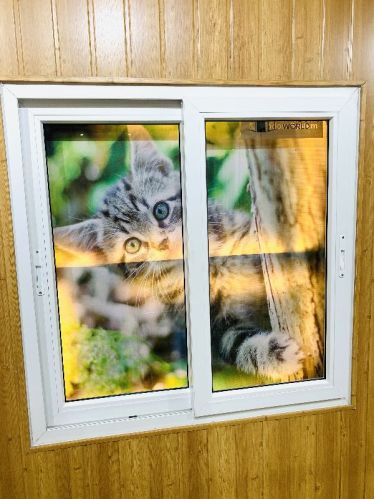 2 Track 2 Panel Sliding Window, Size : Customised