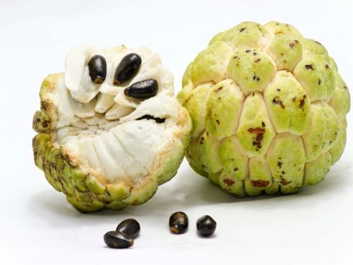 Natural Fresh Custard Apple, For Human Consumption, Packaging Type : Paper Box