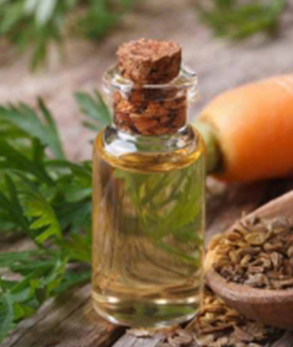 Liquid Carrot Seed Essential Oil