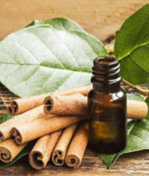 Yellow Liquid Cinnamon Leaf Essential Oil