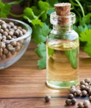 Coriander Oil, Purity : 99%