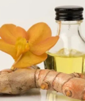 Galangal Alpine Essential Oil