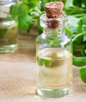 Yellow Liquid Marjoram Oil