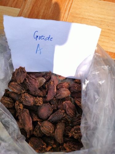 Black Cardamom Grade A Big Size, Style : Dried