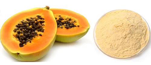Papaya Powder, Packaging Size : 0-250 Gm