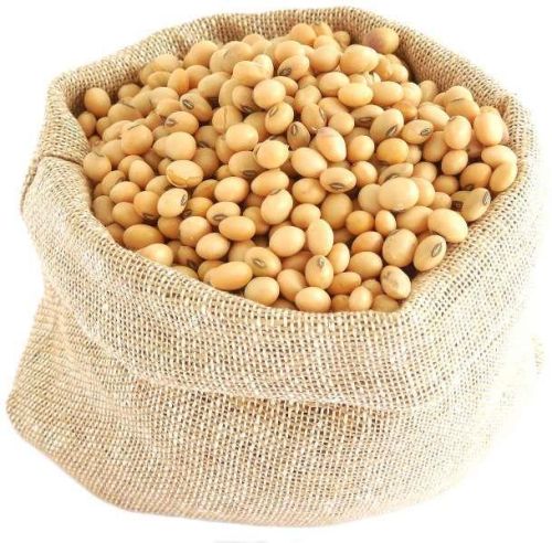 Organic Non-gmo Soya Bean, Packaging Type : Yellow, Variety : All