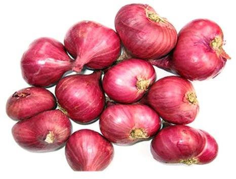 Organic Fresh Small Onion, For Cooking, Packaging Type : Net Bags