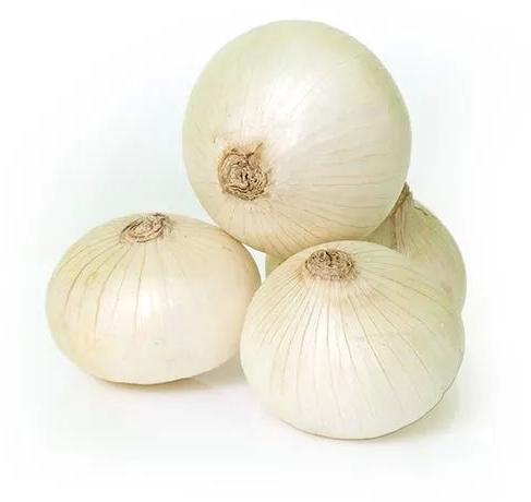 Organic Fresh White Onion, For Cooking, Packaging Type : Net Bags