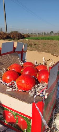 Natural Pomegranate Extract, For Food Additives, Packaging Type : Box