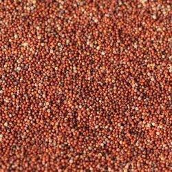 Finger Millet, For Cooking, Snacks Use, Grade : Food Grade