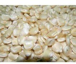 White Maize, For Food Grade Powder, Cooking, Packaging Type : PP Bag