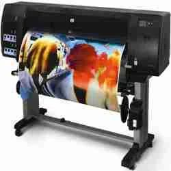 Vinyl Printing Services