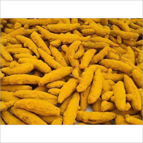 Turmeric Finger, Color : Natural Yellow