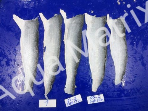 Pangasius Skin, Certification : FDA Certified., ISO Certified