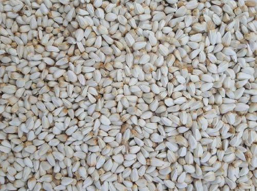 Blended Safflower Seeds Kusum, For Pharmaceutical, Certification : FSSAI Certified