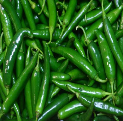 Round Organic Green Chilli