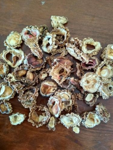 Organic Raw Bitter Gourd, For Pharmaceutical, Food Industry, Packaging Size : 5-10kg, 10-20kg, 20-30kg