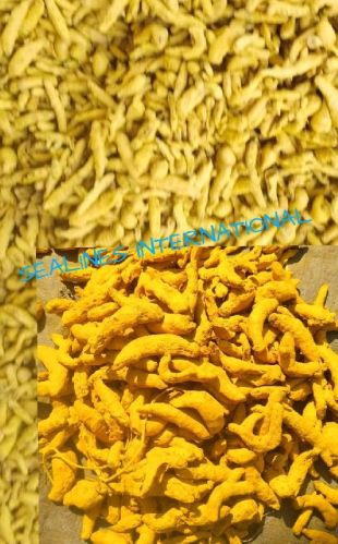 Natural Turmeric Finger, For Cooking, Spices, Food Medicine, Cosmetics, Packaging Type : Plastic Packet