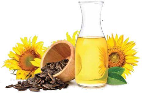 High Oleic Sunflower Oil Powder 70%, For Nutrition Bars